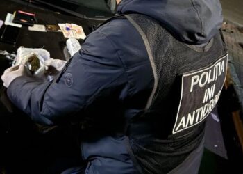 Droguri de peste 1,2 milioane de lei scoase din circuit de poliție în doar o săptămână