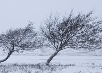 Atenție! Meteorologii anunță Cod Galben de vânt pentru următoarele patru zile
