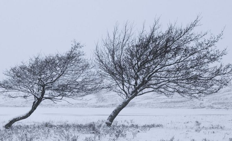 Atenție! Meteorologii anunță Cod Galben de vânt pentru următoarele patru zile