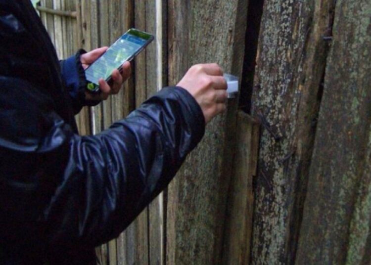 VIDEO // Primeau câte 5 dolari pentru a ascunde droguri în Bălți și alte localități. Doi tineri, reținuți