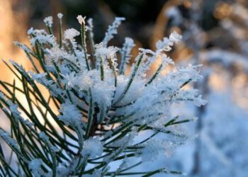 METEO // Ninsori slabe în nordul și centrul țării. Temperaturile prognozate