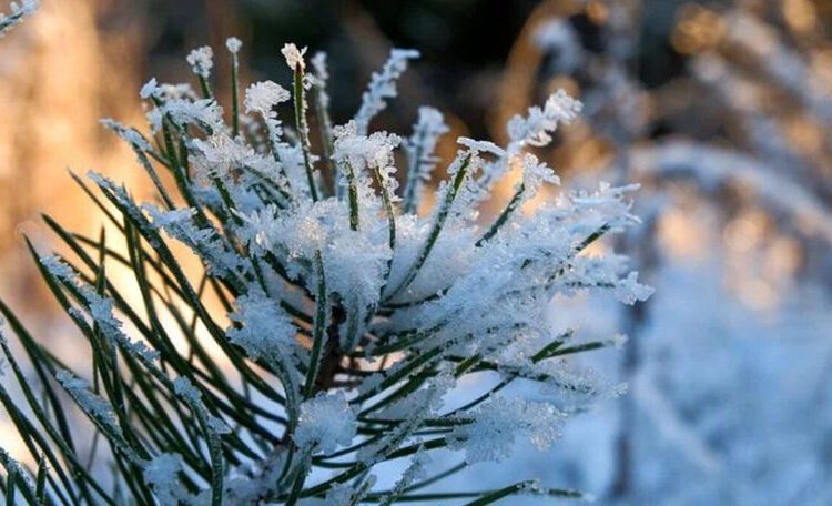 METEO // Ninsori slabe în nordul și centrul țării. Temperaturile prognozate