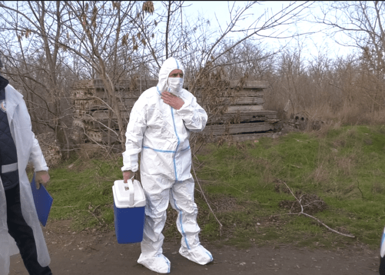 VIDEO // Tomberoanele azilului de câini din Căușeni umplute cu cadavre de animale