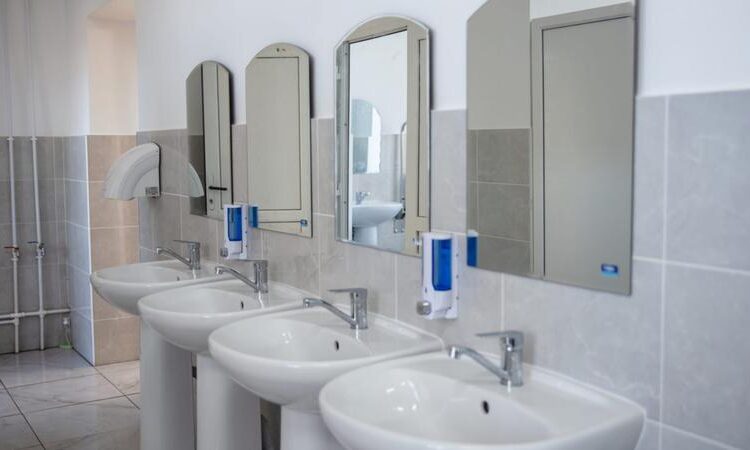 MEC lansează concurs de proiecte pentru modernizarea blocurilor sanitare din școli. Cum pot autoritățile locale să acceseze finanțarea