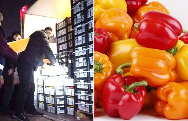 3,4 tone de ardei de import, contaminat cu pesticide periculoase, retras și nimicit de ANSA