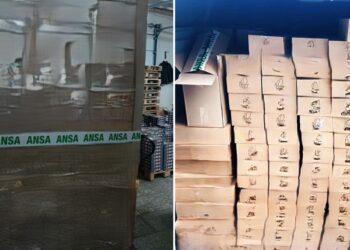 FOTO // Lot de ceai cu pesticide, nimicit de ANSA