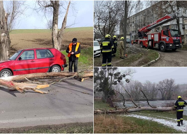 FOTO // Copaci doborâți și acoperișuri avariate: bilanțul intervențiilor IGSU în ultimele 24 de ore