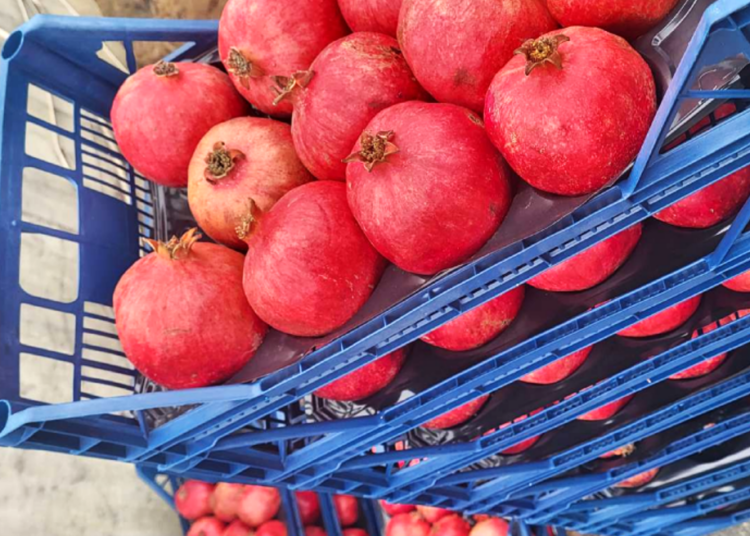 Peste două tone de rodii din import, care depășesc limita de pesticide, urmau să ajungă pe rafturile magazinelor și piețelor din țară