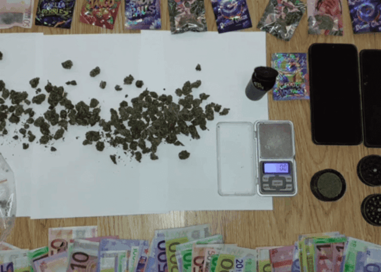 VIDEO // Un tânăr de 28 de ani din raionul Hîncești a fost reținut de poliție. Cultiva semințe de canabis