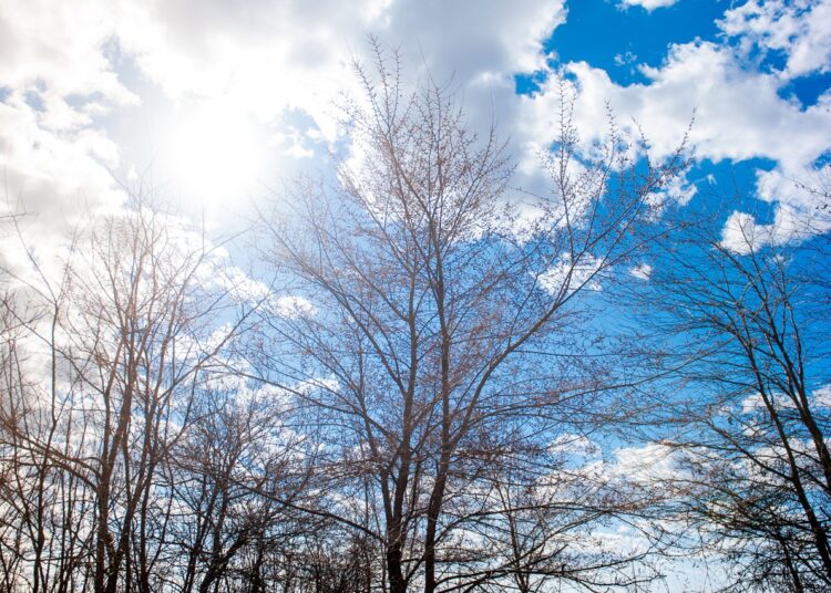 METEO // Cer variabil și temperaturi negative. Câte grade vor fi astăzi