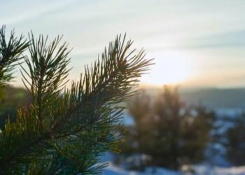 METEO // Cer noros pe întreg teritoriul țării. Câte grade vor fi astăzi