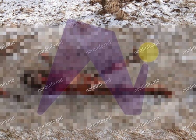 ФОТО // Шокирующее убийство в Пелинии. 40-летняя женщина была убита собственным сожителем