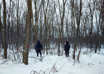 FOTO // Poliția din Briceni intensifică controalele pentru prevenirea tăierilor ilicite