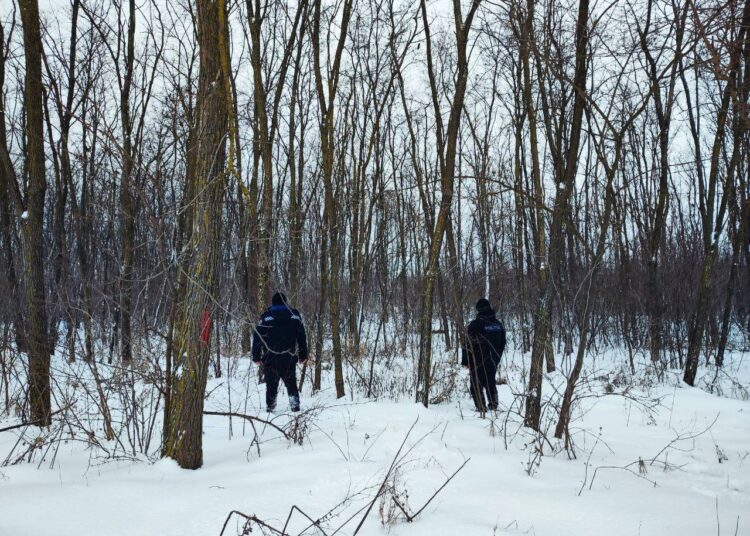FOTO // Poliția din Briceni intensifică controalele pentru prevenirea tăierilor ilicite