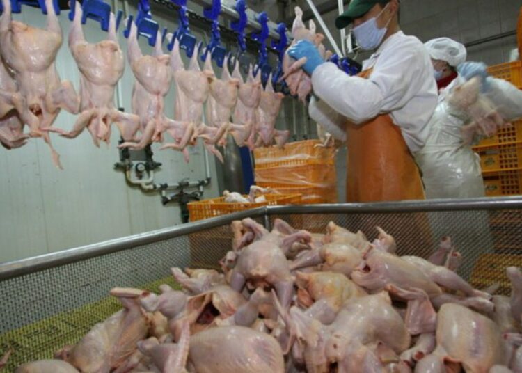 ANSA suspendă temporar importul de carne de pasăre din Ucraina