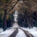 METEO // Temperaturi negative și cer noros. Cum va fi vremea astăzi