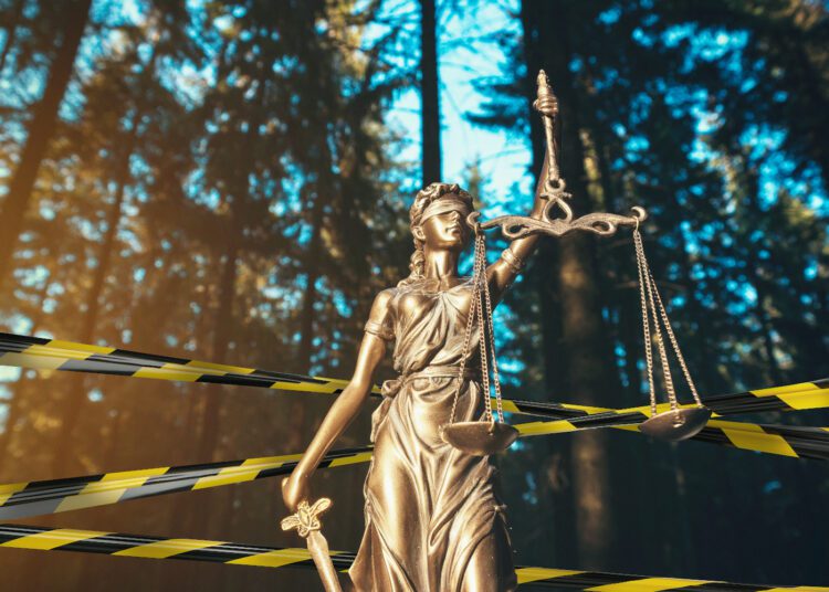 Ce înseamnă pentru Republica Moldova noua Convenție a Consiliului Europei împotriva infracțiunilor de mediu. Implicații și perspective