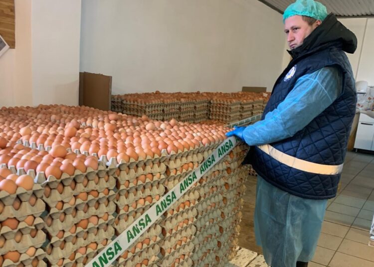 Ouă de la o avicolă din nordul țării retrase din vânzare. ANSA avertizează consumatorii