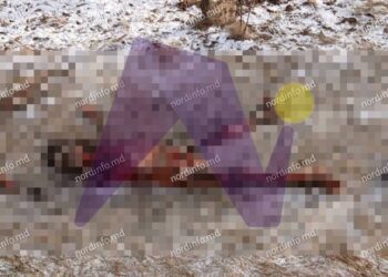 FOTO // Crimă șocantă în Pelinia. O femeie de 40 ani ar fi fost ucisă de propriul concubin