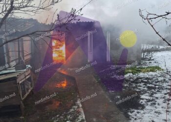 FOTO // Incendiu la o gospodărie din satul Pelinia