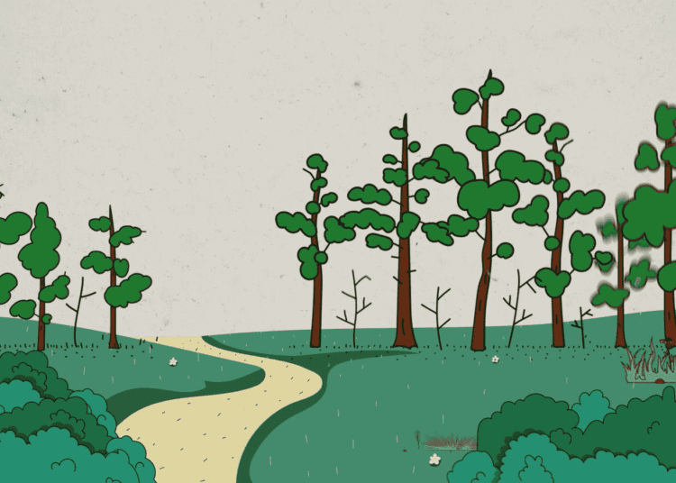 VIDEO // Solul – Aurul de sub picioarele noastre