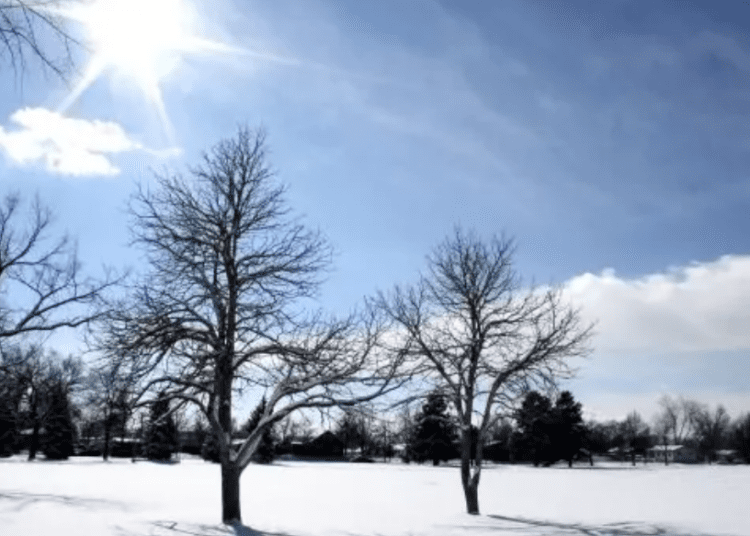 METEO // Cer variabil și temperaturi pozitive. Câte grade vor fi astăzi