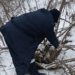 FOTO // Tăiere ilegală de arbori, depistată în zona de frontieră Ocnița