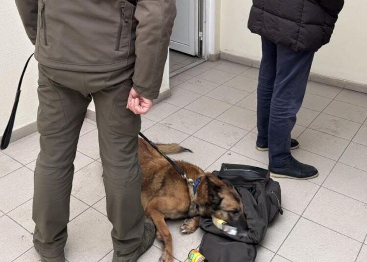 FOTO // Ucrainean prins cu MDMA și cocaină la frontiera din Criva. A fost plasat în arest la domiciliu