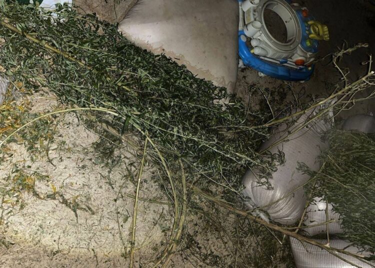 FOTO // Trei bărbați din Sîngerei, cercetați penal pentru circulație ilegală și consum de droguri