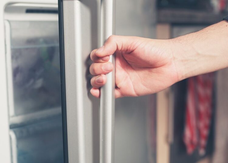 Doi bebeluși au fost găsiți într-un congelator în Franța. Mama lor a recunoscut că i-a înghețat la o lună după naștere
