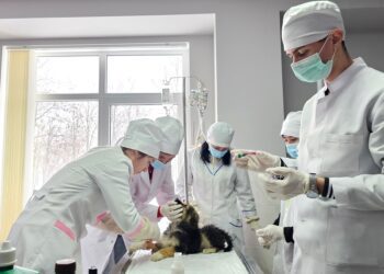 ФОТО // Современные условия обучения для будущих ветеринарных врачей из Братушен