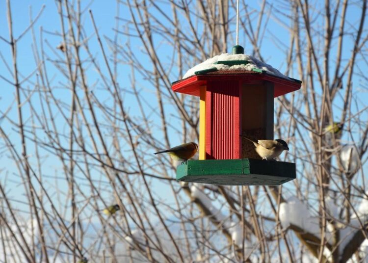 METEO // Vreme caldă și cer variabil. Câte grade vor fi astăzi