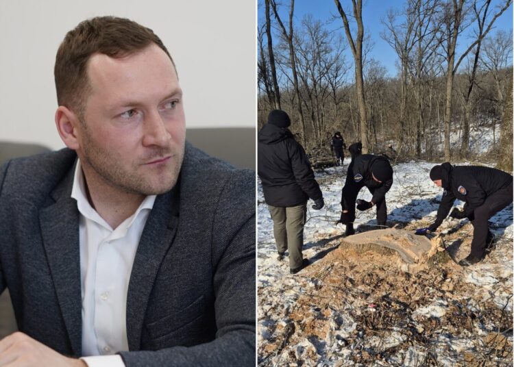 „Aștept identificarea vinovaților și demisii pe verticală”. Ministrul Mediului, despre tăierile de la ocolul silvic Ghidighici