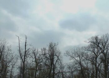 METEO // Cer noros, ploi și lapoviță. Câte grade vor fi astăzi