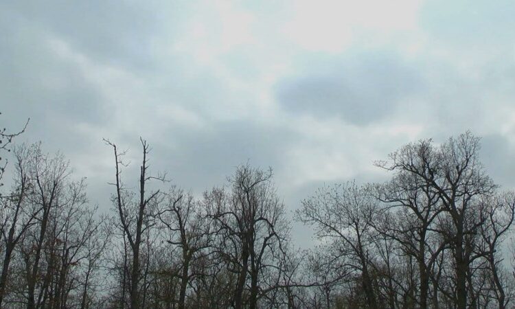 METEO // Cer noros, ploi și lapoviță. Câte grade vor fi astăzi