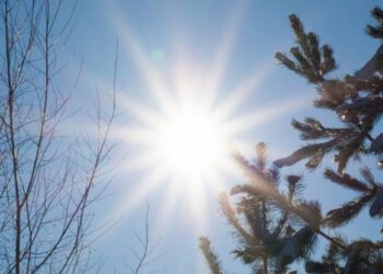 METEO // Vreme caldă și cer variabil la sfârșit de februarie