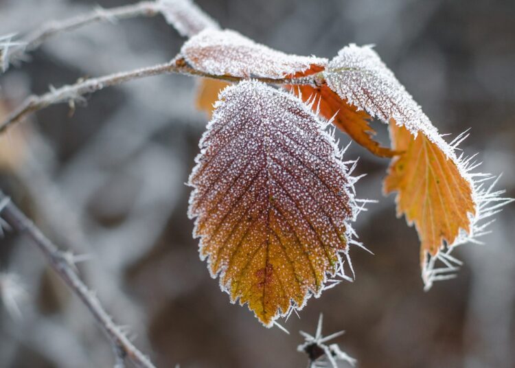 METEO // Vremea rece se menține în țară. Câte grade vor fi astăzi