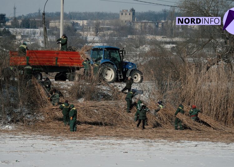 VIDEO // Lacul Orășenesc din Bălți așteaptă o reabilitare reală. Sunt necesare investiții de milioane