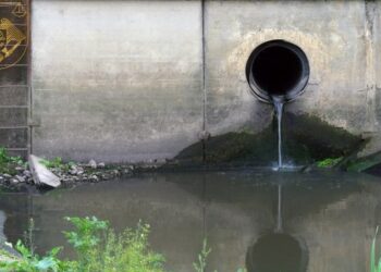 Administrator din Anenii Noi, trimis în judecată pentru poluarea râului Bîc. Prejudiciu de peste 1,3 milioane de lei