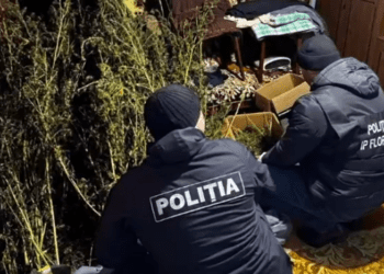 VIDEO // Arme și droguri depistate în raionul Florești. Oamenii legii au efectuat percheziții