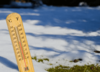 METEO // Vremea se încălzește. Temperaturi pozitive și cer noros