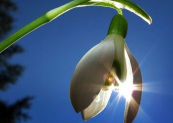 METEO // Soare la început să săptămână. Câte grade vor fi astăzi