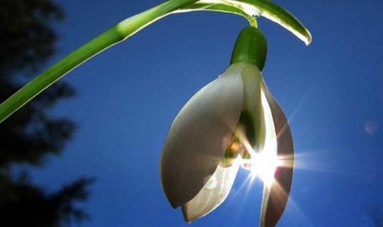 METEO // Soare la început să săptămână. Câte grade vor fi astăzi