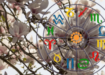 HOROSCOP // Claritate în gânduri, stabilitate în acțiuni. Vezi ce au pregătit pentru astăzi astrele