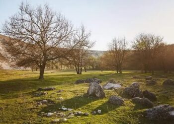 METEO // Cer variabil și temperaturi de primăvară