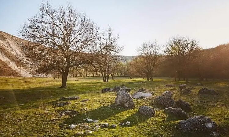 METEO // Cer variabil și temperaturi de primăvară