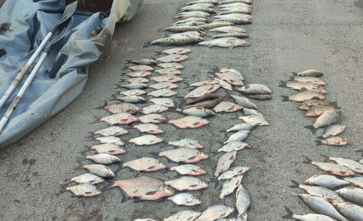 FOTO // Prins cu 30 kg de pește capturat ilegal: braconaj la Costești–Stînca