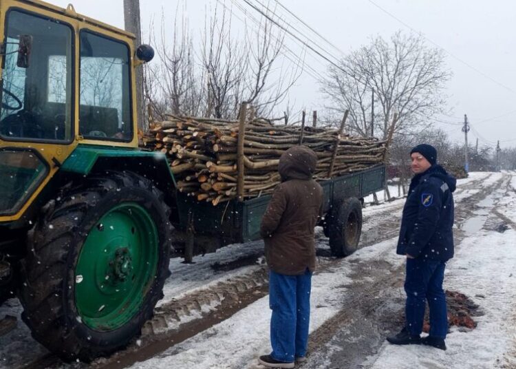 Locuitorii din nordul țării, neprietenoși cu mediul: tăieri ilegale, transport de lemn fără acte și arderea deșeurilor