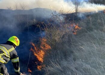 Incendiu de vegetație în raionul Glodeni. Un bărbat de 60 de ani s-a ales cu arsuri de gradul I