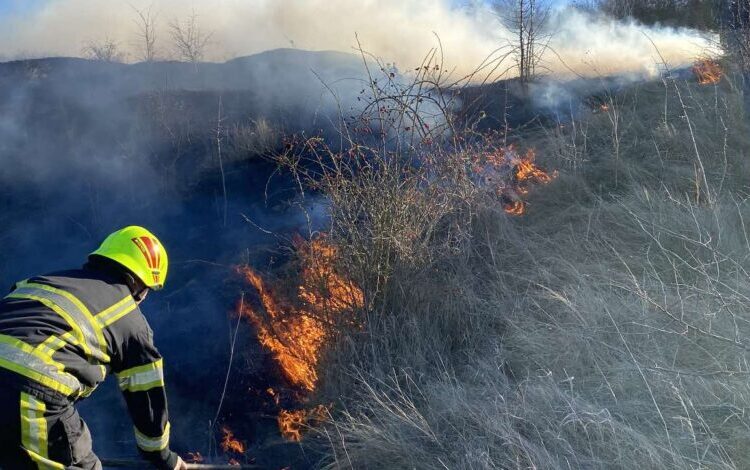 Incendiu de vegetație în raionul Glodeni. Un bărbat de 60 de ani s-a ales cu arsuri de gradul I
